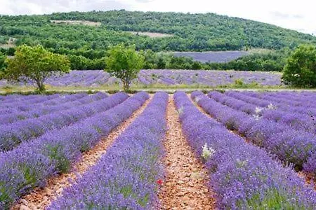 Domitia Roussillon Luberon Apartment